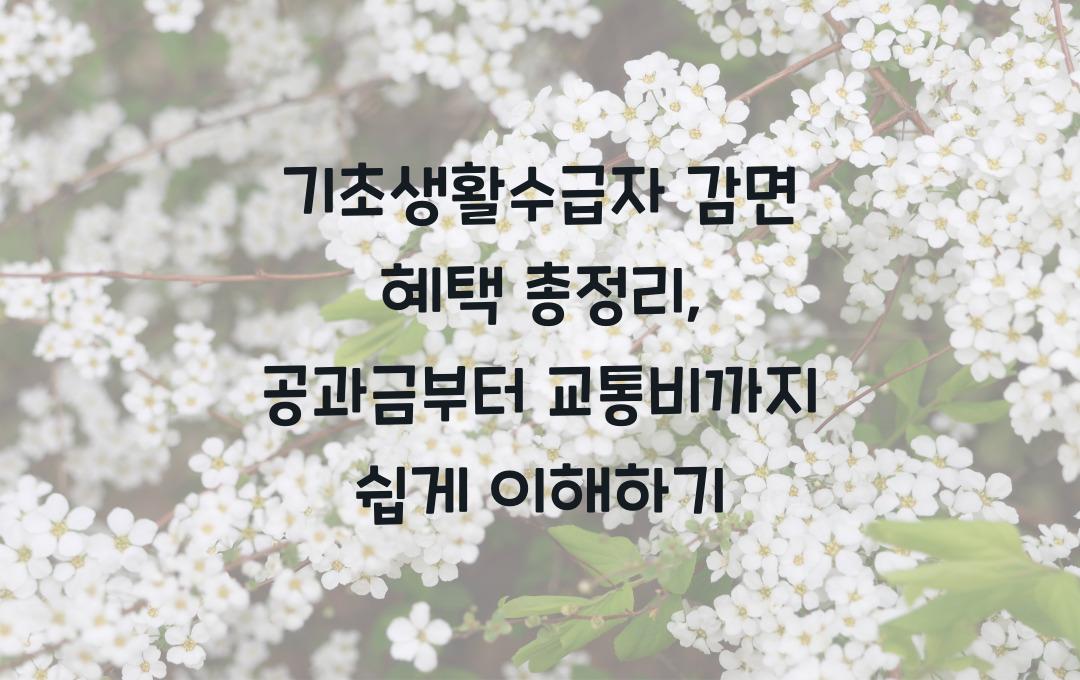 기초생활수급자 감면 혜택 총정리, 공과금부터 교통비까지 한눈에