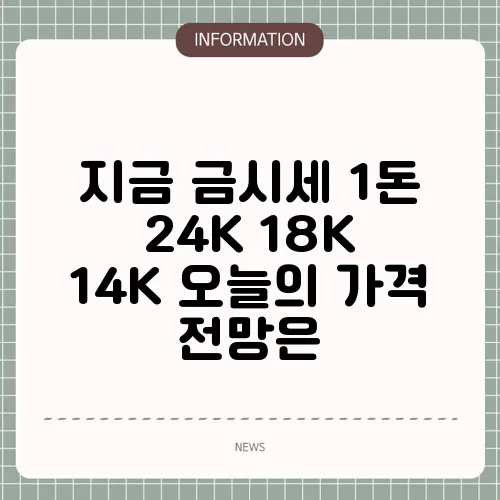 지금 금시세 1돈 24K 18K 14K 오늘의 가격 전망은