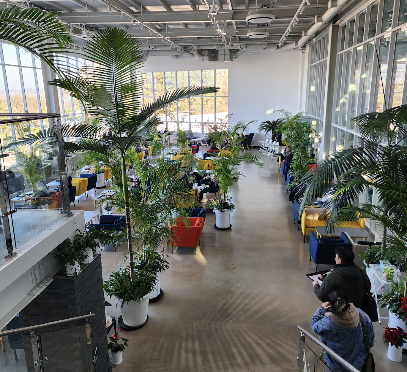 파주 문지리 535 카페 방문 후기&amp;#44; 리뷰