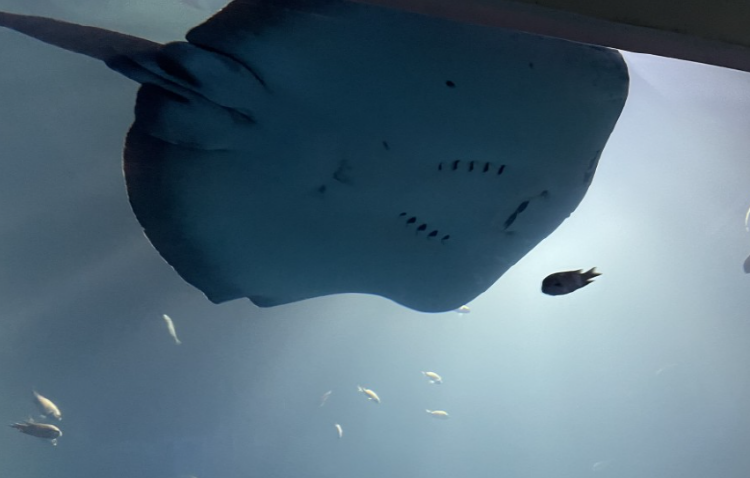 사천 아쿠아리움