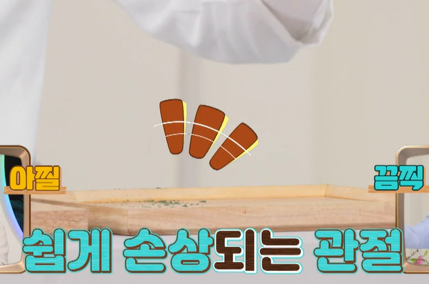 콘드로이친 효능