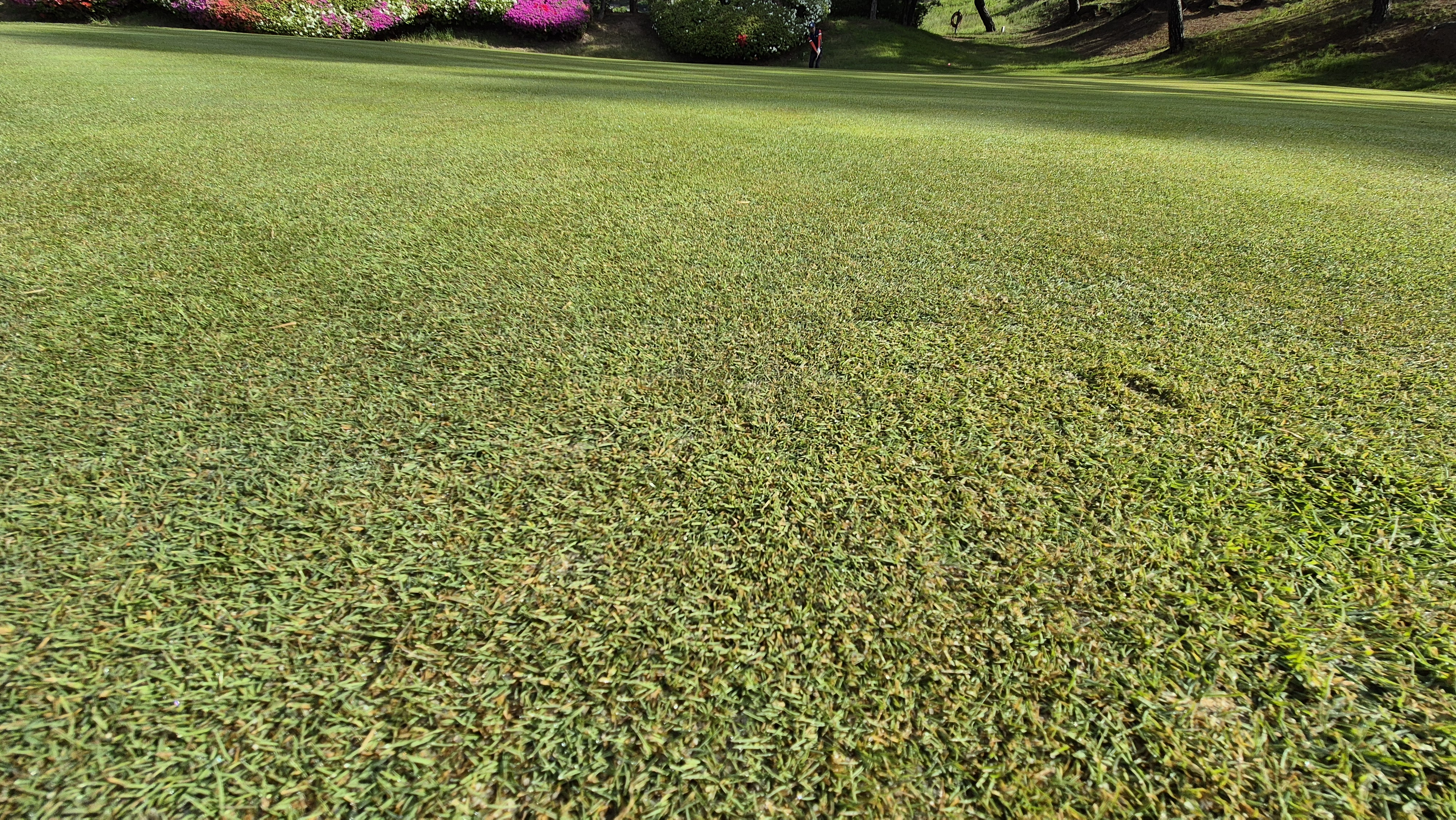 한원cc 라운드후기