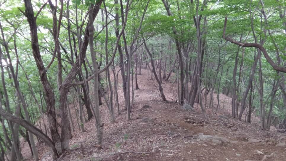 100대 명산 등산하기 마흔아홉번째 천안 광덕산 자연의 숨결이 살아있는 충남의 명산