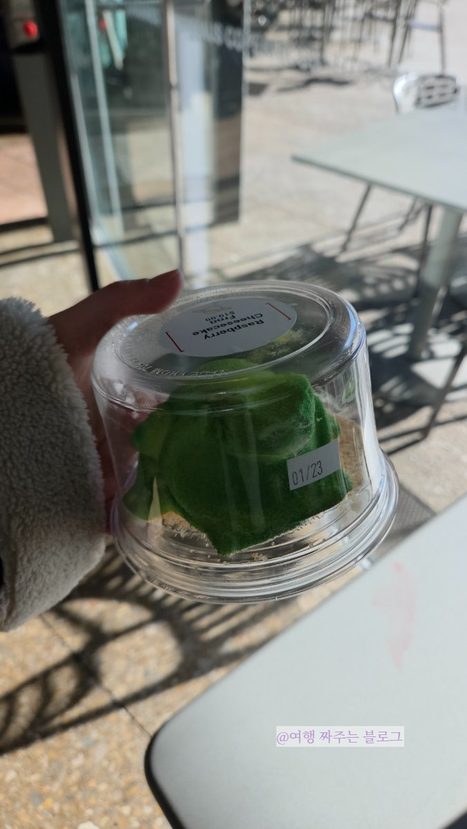 #달라스여행 #댈러스여행 #페롯뮤지엄 #페롯박물관