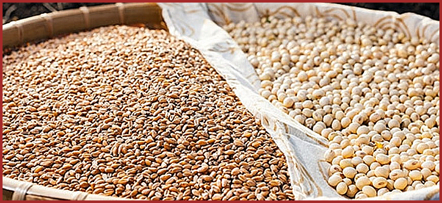 이만기 쏘팔메토