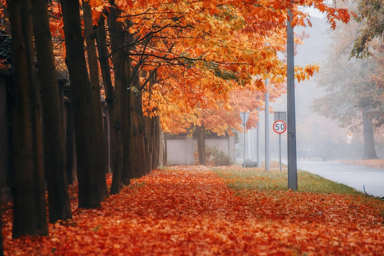 전통 놀이도 저작권이 있을까? – 문화유산 보호법과 놀이