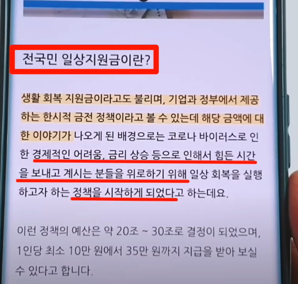 전국민 일상지원금