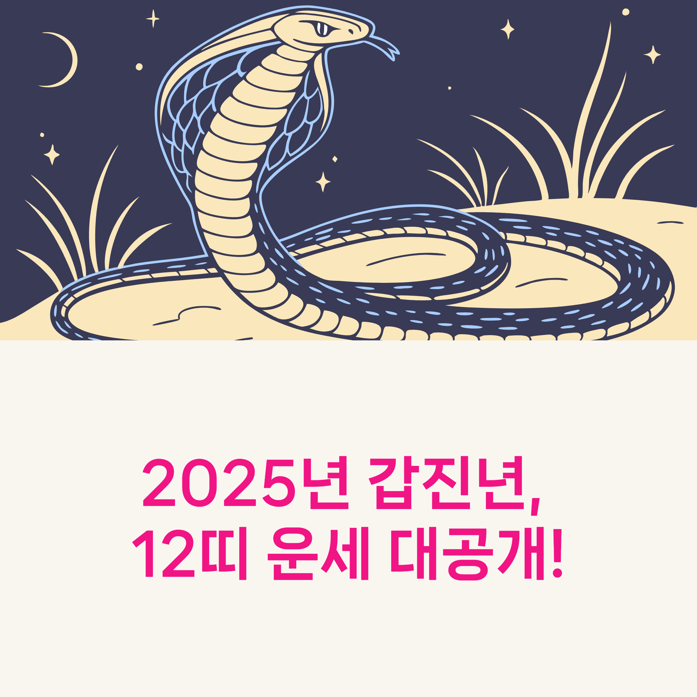 2025운세총정리,