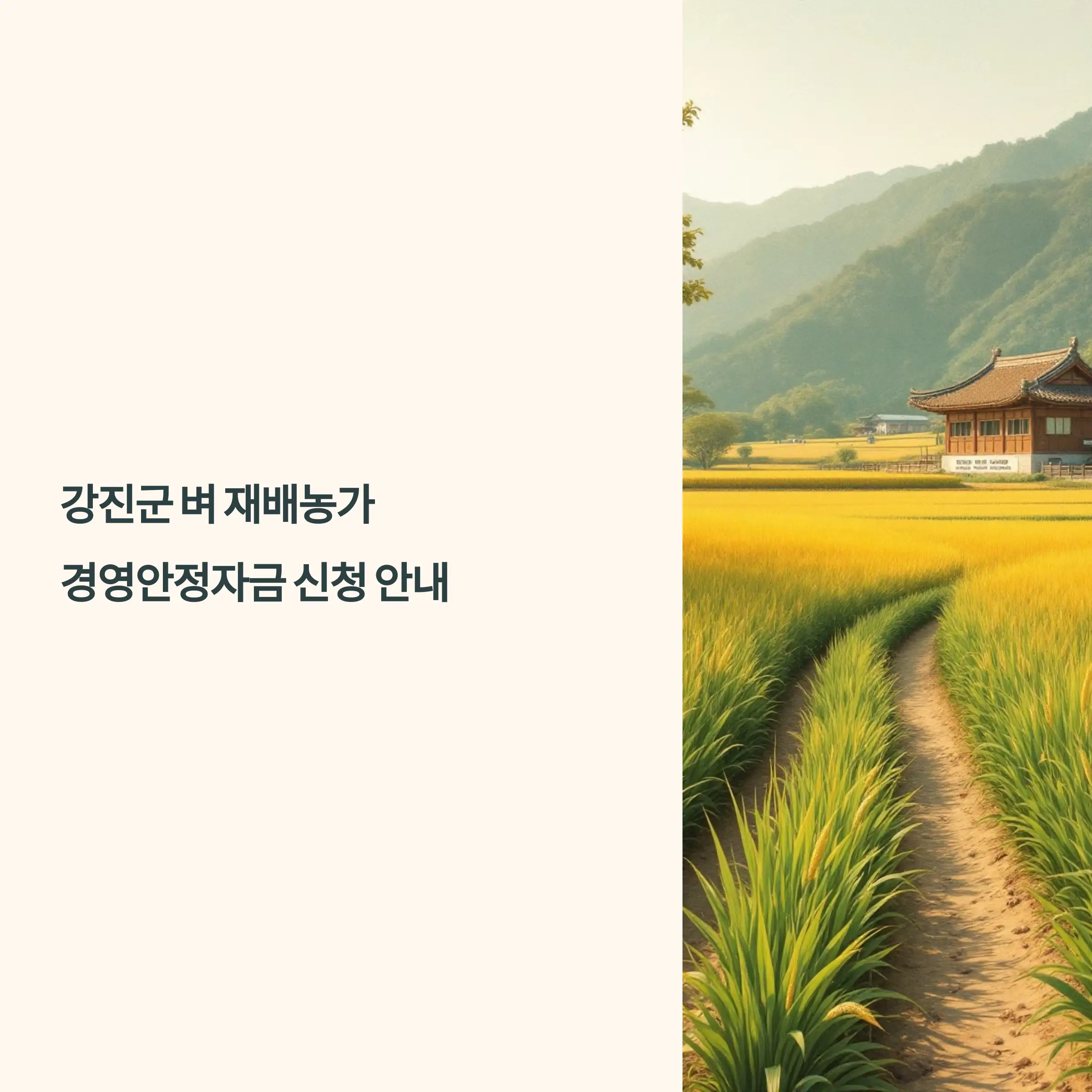 강진군 벼 재배농가 경영안정자금 지원금 신청 방법