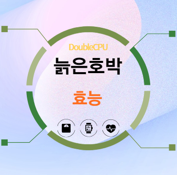 늙은호박 효능 탐구