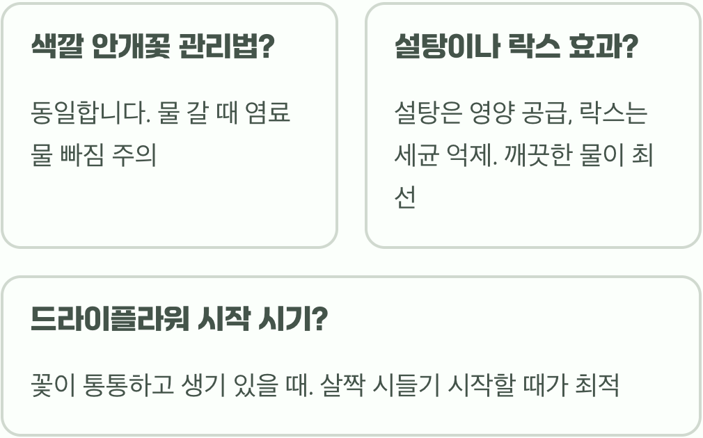 선물 받은 안개꽃 꽃다발, 시들지 않고 2배 오래 보는 관리법 5가지