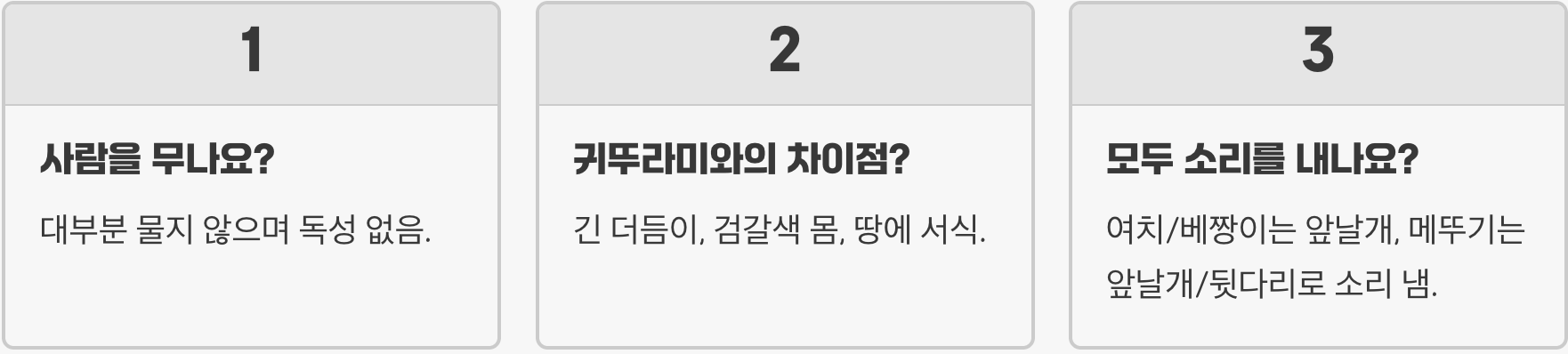 날베짱이 vs 여치 vs 메뚜기, 당신이 잡은 곤충의 진짜 이름은?