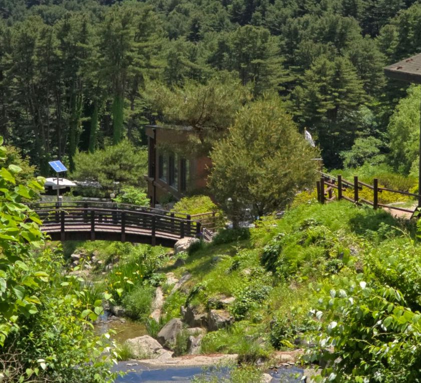 경기도잣향기푸른숲
