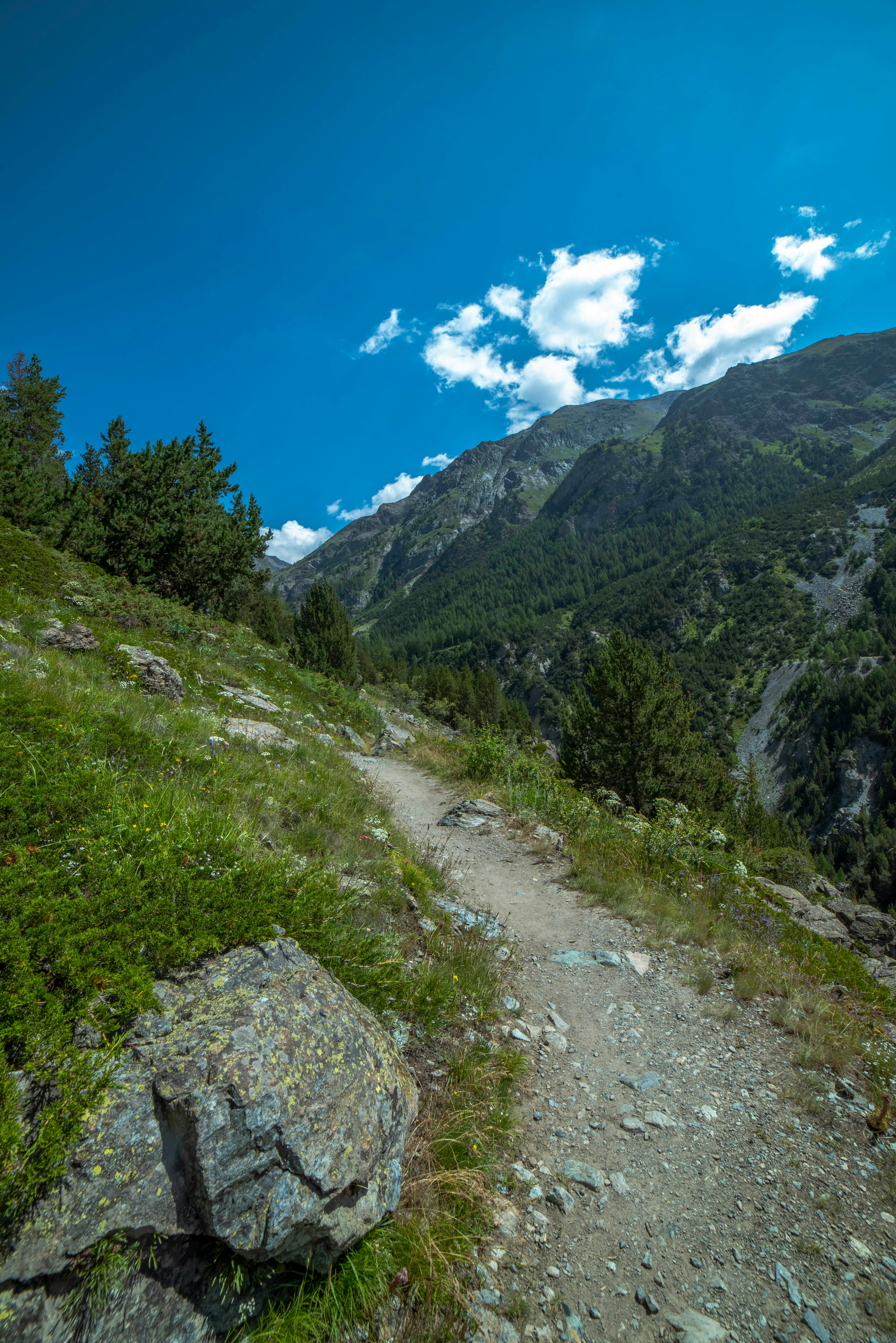 깊은 산속 오솔길과 산골 자연 풍경 관련 사진