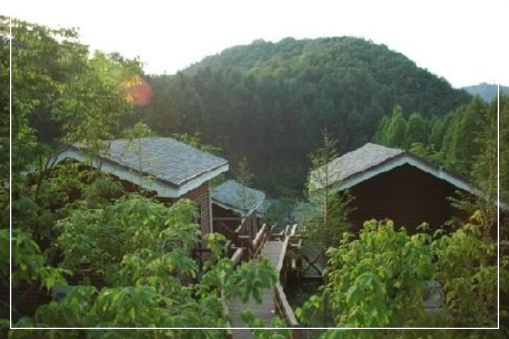 대전 가볼만한곳 베스트10 장태산 자연휴양림