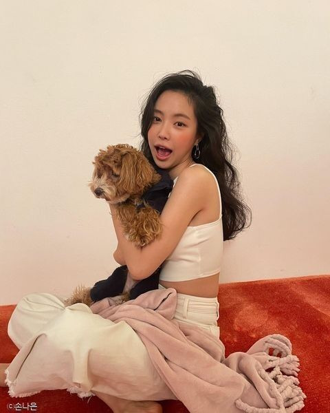 손나은 나이 프로필 총정리｜학력&middot;고향&middot;키&middot;몸매&middot;에이핑크 탈퇴&middot;동생 손새은&middot;모친상