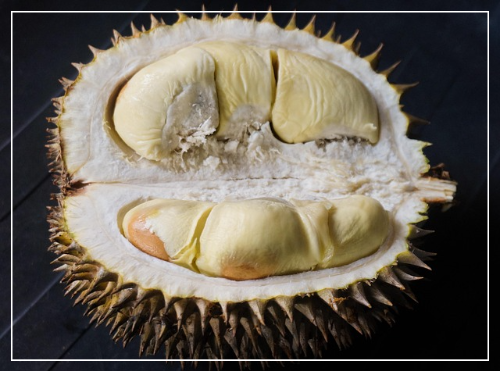 두리안 부작용2