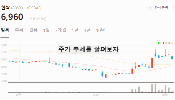 딥페이크 관련주 대장주 테마주 보안주 TOP7