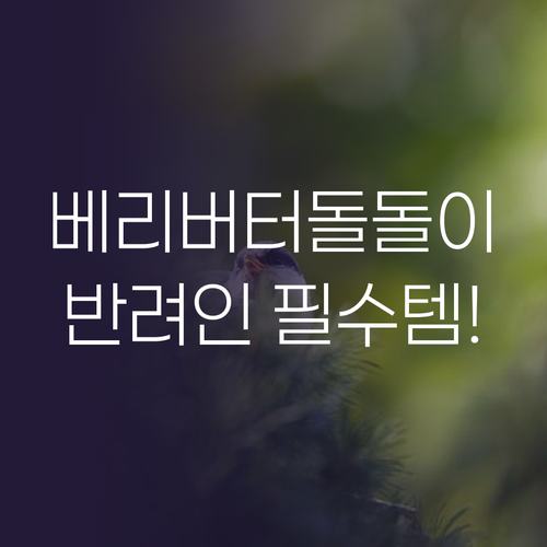 사선 컷팅 테이프크리너 비교하고 나니..