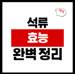 석류 효능