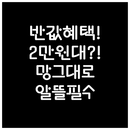 통신3사 망 그대로 반값 알뜰폰, 월..