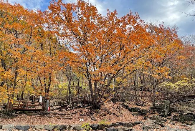 대운산자연휴양림