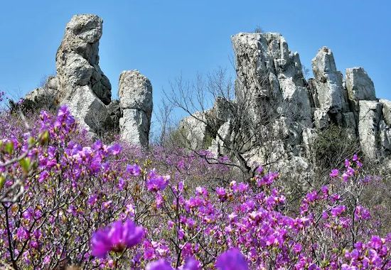 주작산자연휴양림