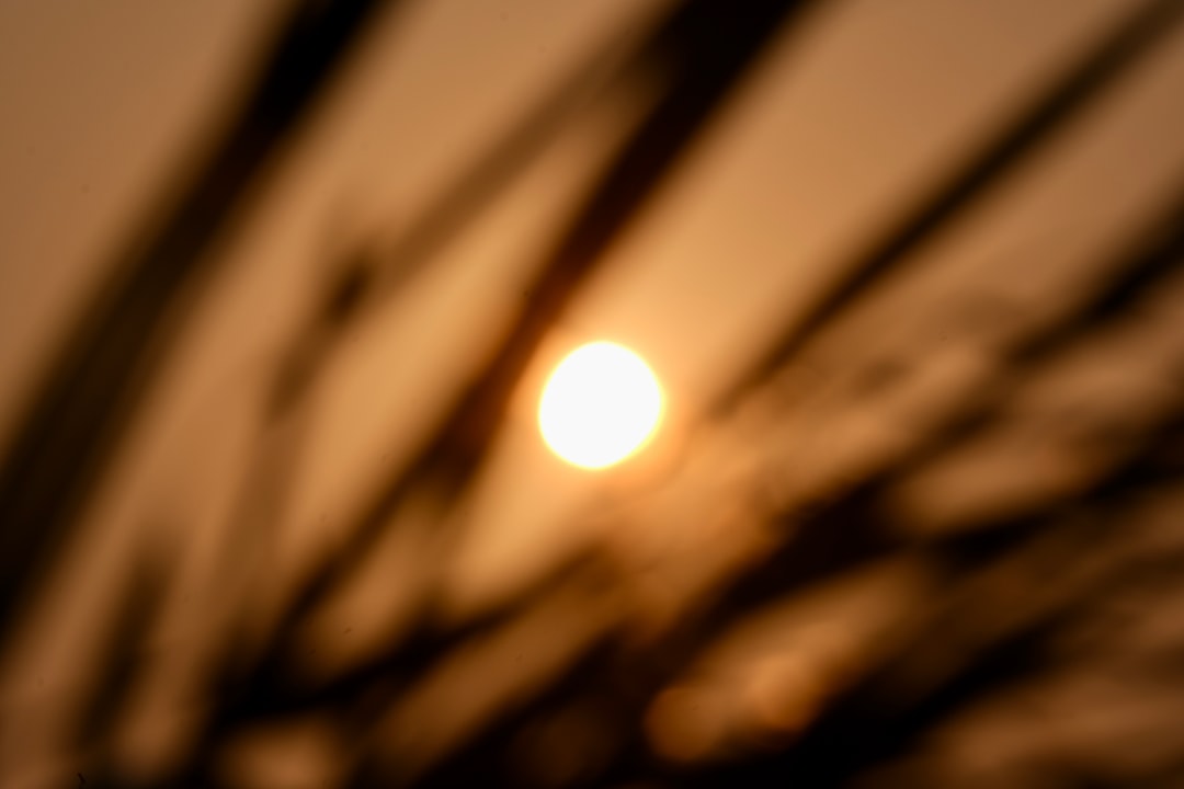 Suncan.