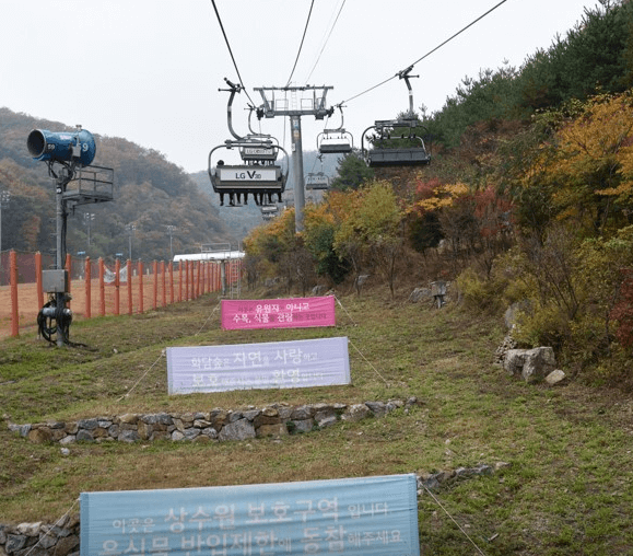 단풍축제 화담숲