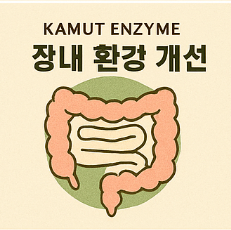 카무트 효소 효능