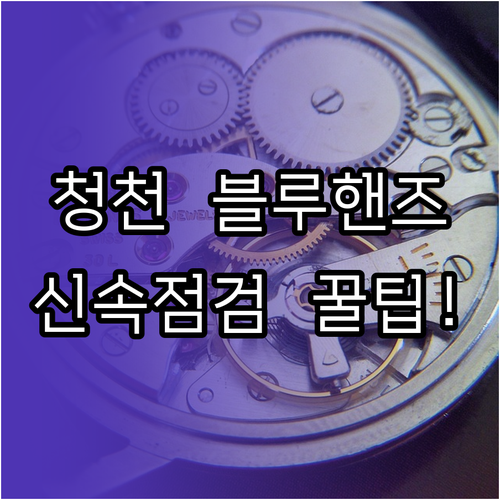 괴산 청천면 현대자동차 블루핸즈 이용..