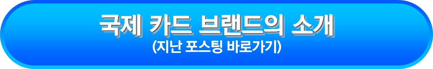 국제 카드 브랜드의 소개