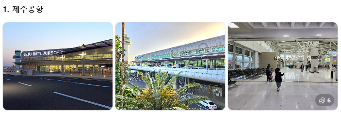 제주 쏠라티&middot;카니발 투어 비교! 기사 포함 제주 승합차투어 요금&middot;코스&middot;후기 총정리