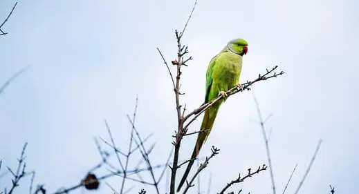 아빠 육아휴직 장려금 신청 방법
