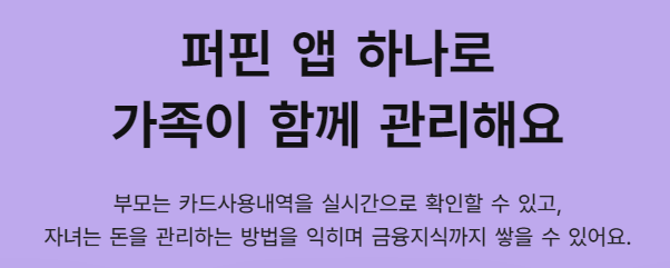 퍼핀카드(초등학생 체크카드)
