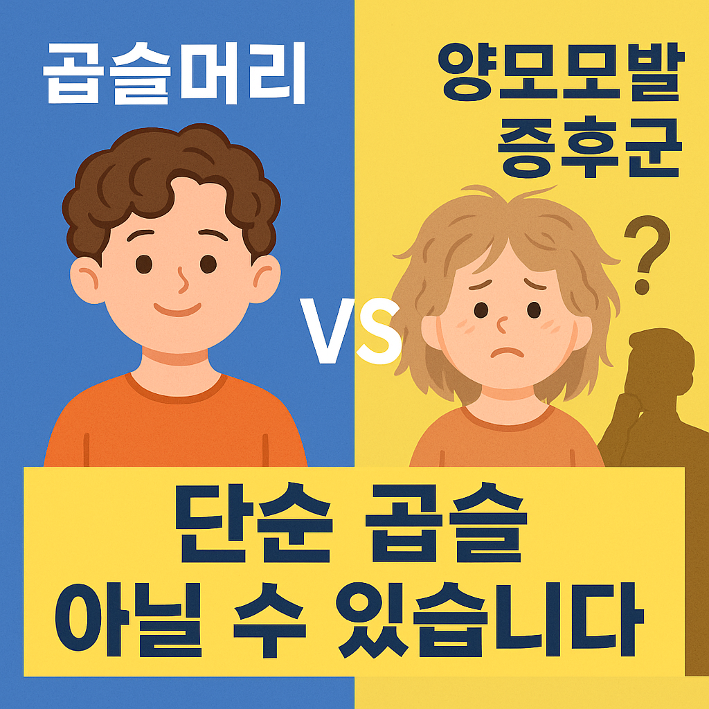 혹시 양모모발증후군? 곱슬머리와의 차이 정확히 알려드립니다