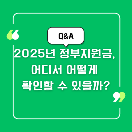 2025년 정부지원금, 어디서 어떻게 확인할 수 있을까?