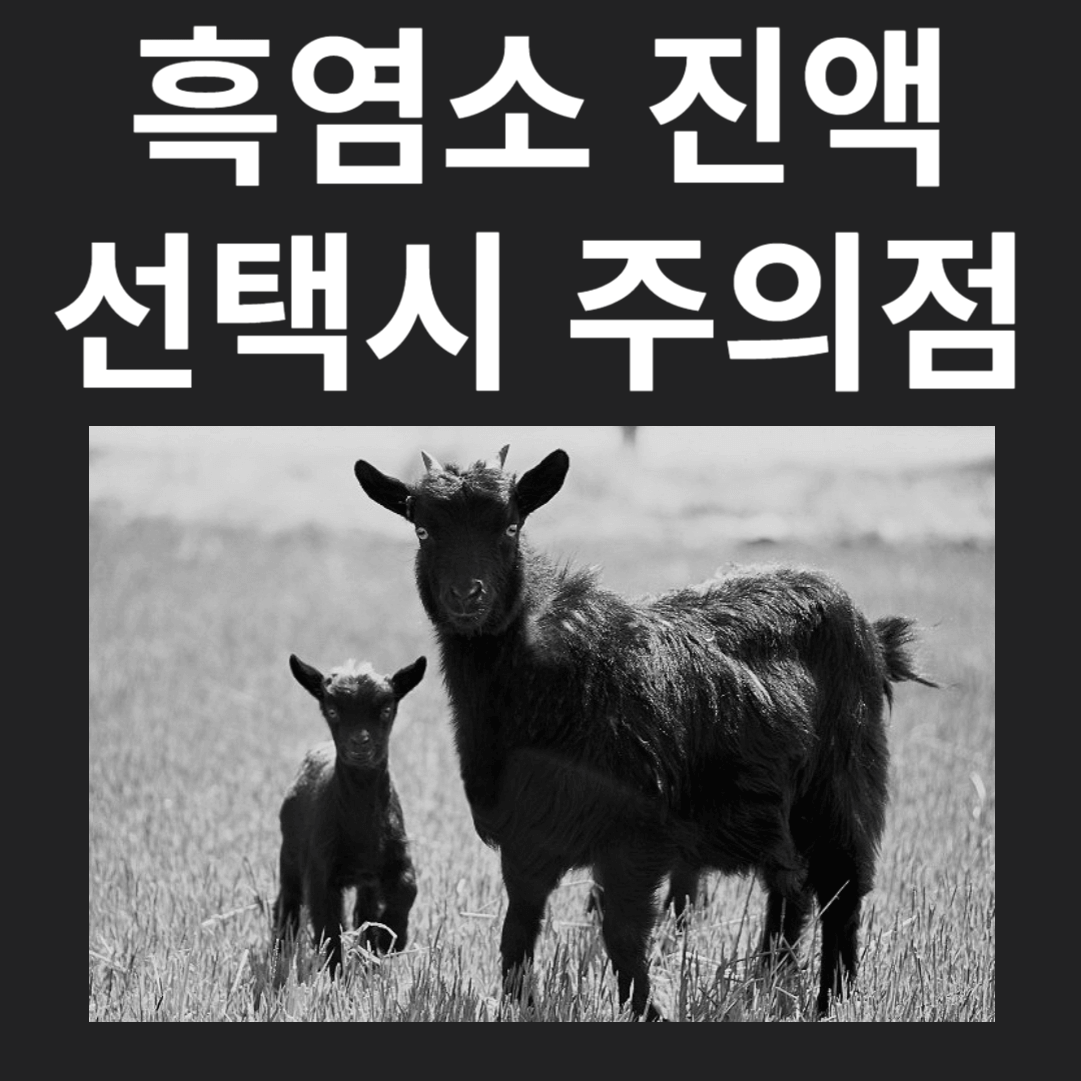 흑염소 진액