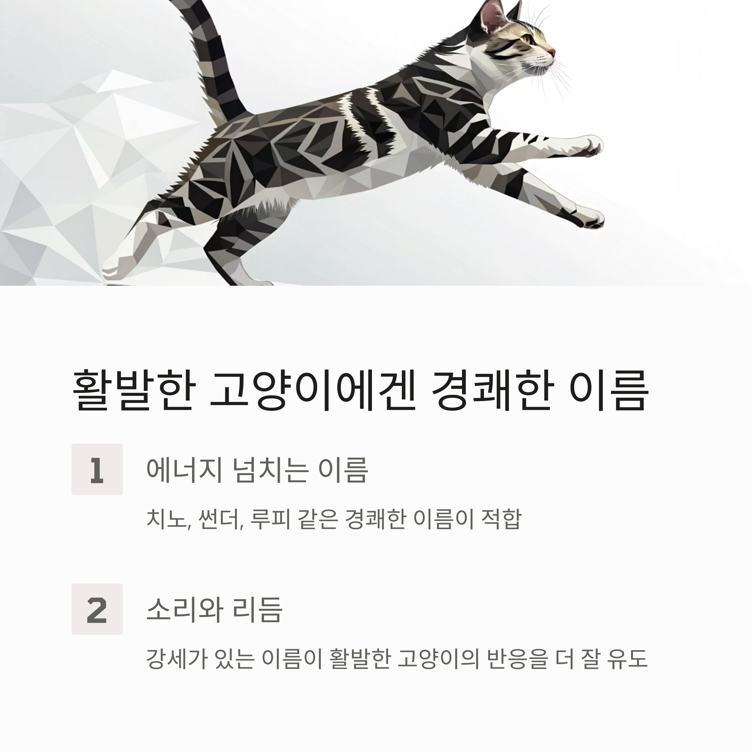 활발한 고양이에겐 경쾌한 이름