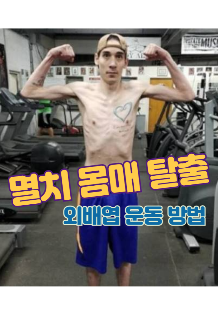 1.외배엽 마른 체형 운동방법