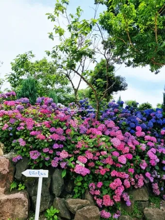 제주 여름 축제 일정표 불꽃놀이 포함 행사 소개_21