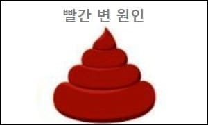 빨간 변 원인