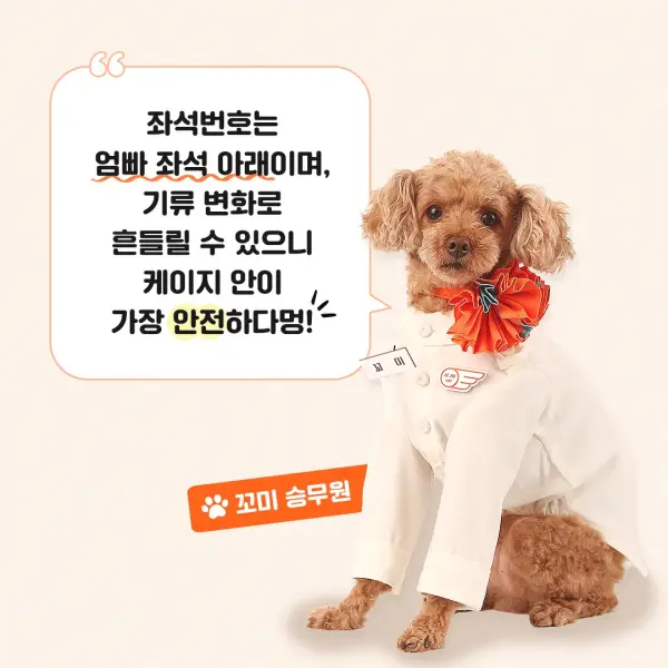 반려동물 케이지 위치 안내