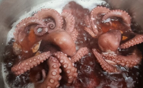 문어삶는법 제대로 알기