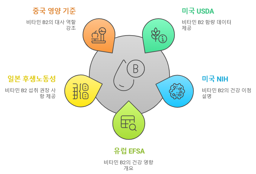 비타민 B2 글로벌 기관들의 연구