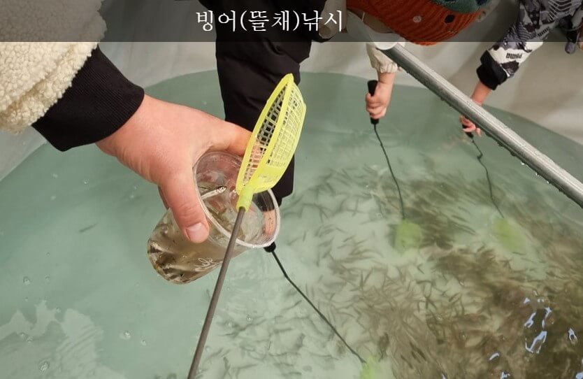 동장군축제 송어 얼음 낚시 및 눈썰매 정보&amp;#44; 축제가 포천 백운계곡쪽에서 진행하고 있습니다. 