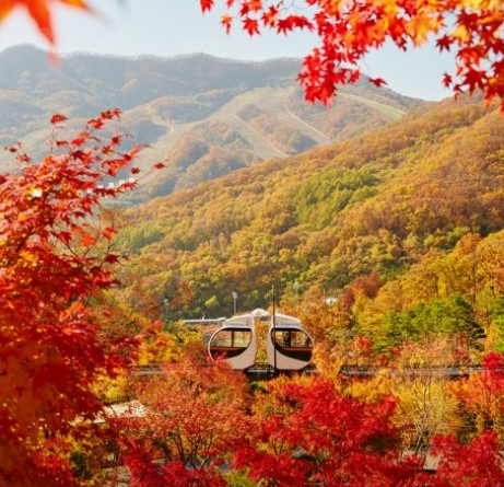 단풍명소