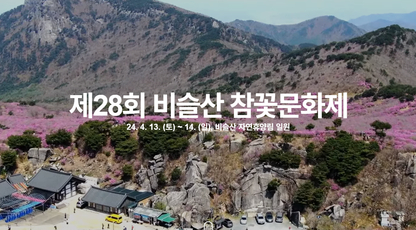 비슬산 참꽃문화제 홈페이지 참조