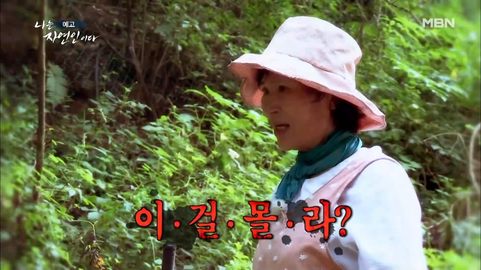 이승윤 윤택 나는 자연인이다 516회 나 자신을 위한 선택을 하기로 결심한 세 번째 스무 살 행복을 쓰는 자연인 차선옥 소개 및 출연 다시보기