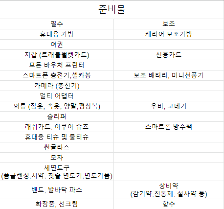 여행 준비물